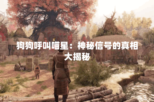 狗狗呼叫喵星：神秘信号的真相大揭秘