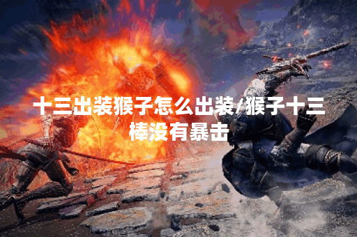 十三出装猴子怎么出装/猴子十三棒没有暴击