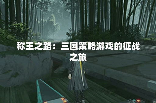 称王之路：三国策略游戏的征战之旅