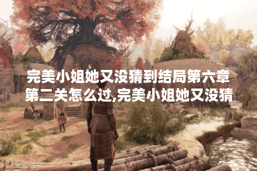 完美小姐她又没猜到结局第六章第二关怎么过,完美小姐她又没猜到结局资讯