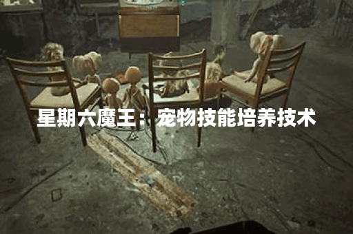 星期六魔王：宠物技能培养技术