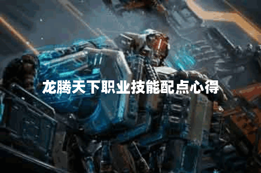 龙腾天下职业技能配点心得