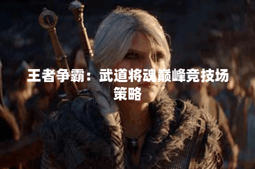 王者争霸：武道将魂巅峰竞技场策略