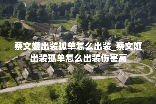 蔡文姬出装孤单怎么出装_蔡文姬出装孤单怎么出装伤害高