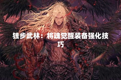 独步武林：将魂觉醒装备强化技巧