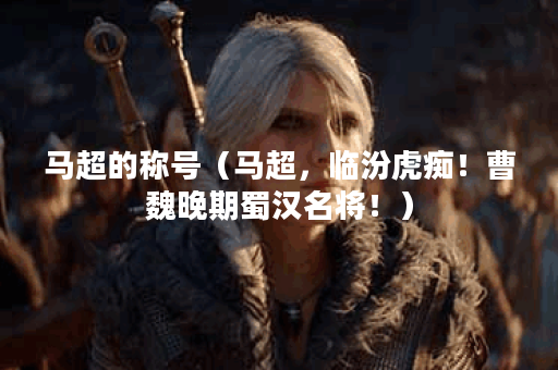 马超的称号（马超，临汾虎痴！曹魏晚期蜀汉名将！）