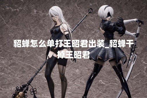 貂蝉怎么单打王昭君出装_貂蝉干掉王昭君