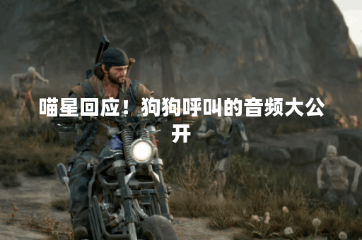 喵星回应！狗狗呼叫的音频大公开