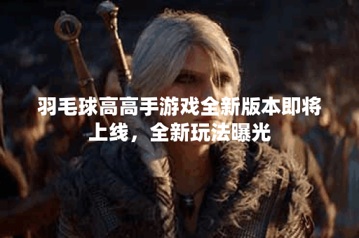 羽毛球高高手游戏全新版本即将上线，全新玩法曝光