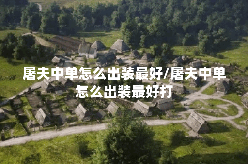 屠夫中单怎么出装最好/屠夫中单怎么出装最好打