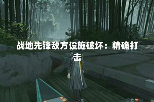 战地先锋敌方设施破坏：精确打击