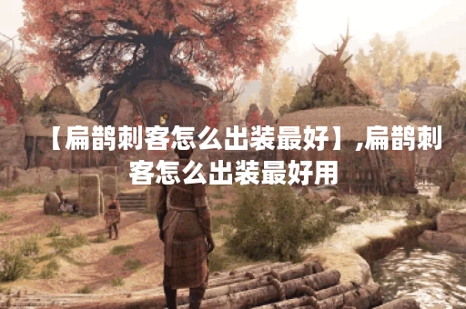 【扁鹊刺客怎么出装最好】,扁鹊刺客怎么出装最好用