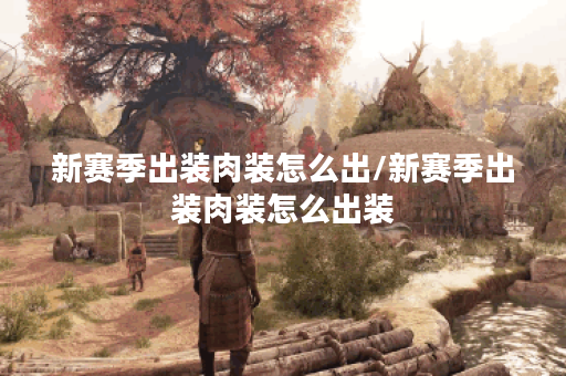 新赛季出装肉装怎么出/新赛季出装肉装怎么出装