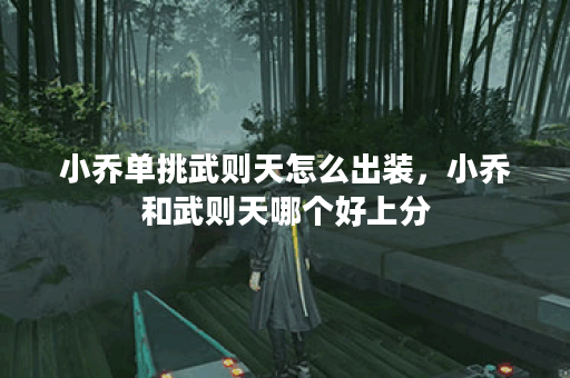 小乔单挑武则天怎么出装，小乔和武则天哪个好上分