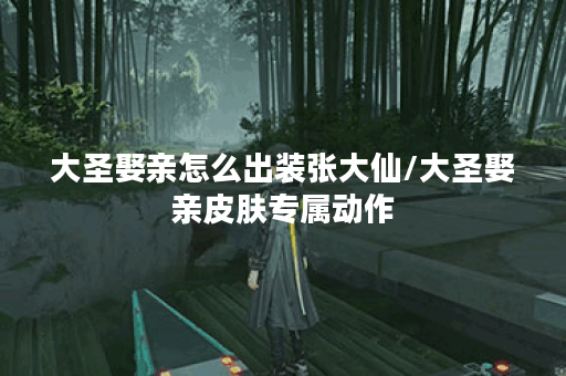 大圣娶亲怎么出装张大仙/大圣娶亲皮肤专属动作