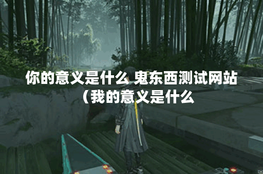 你的意义是什么 鬼东西测试网站（我的意义是什么？——鬼东西测试网