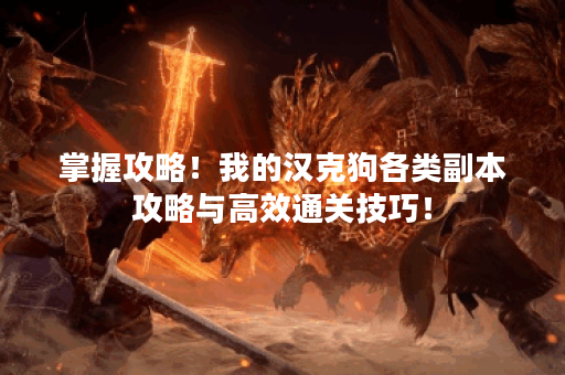 掌握攻略！我的汉克狗各类副本攻略与高效通关技巧！