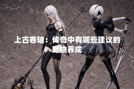 上古卷轴：传奇中有哪些建议的宠物养成？