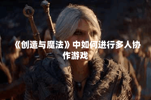 《创造与魔法》中如何进行多人协作游戏? 《创造与魔法》中如何进行多人协作游戏?