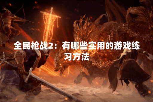 全民枪战2：有哪些实用的游戏练习方法？