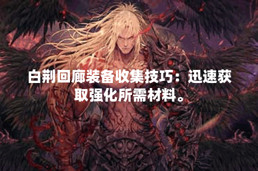 白荆回廊装备收集技巧:迅速获取强化所需材料。 白荆回廊装备收集技巧:迅速获取强化所需材料。