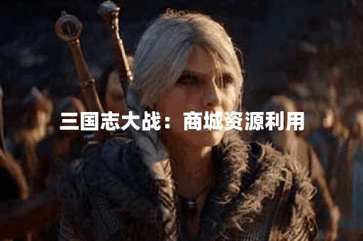 三国志大战：商城资源利用