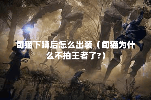 旬猫下蹲后怎么出装（旬猫为什么不拍王者了?）