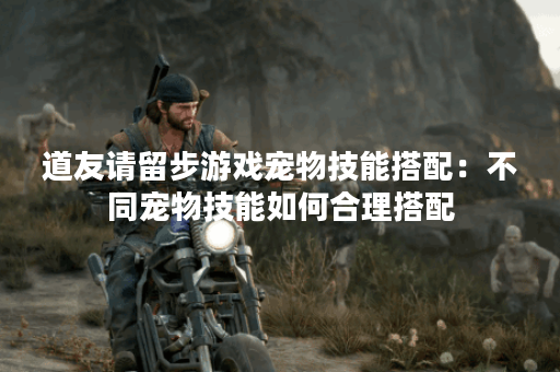 道友请留步游戏宠物技能搭配：不同宠物技能如何合理搭配？