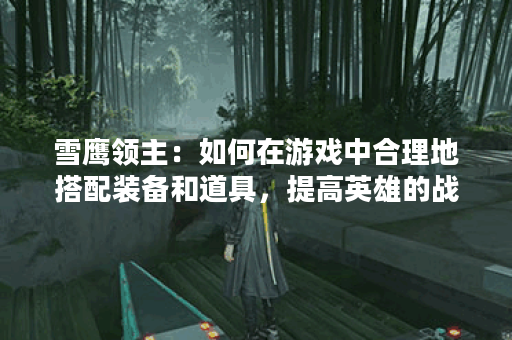 雪鹰领主：如何在游戏中合理地搭配装备和道具，提高英雄的战斗效率？