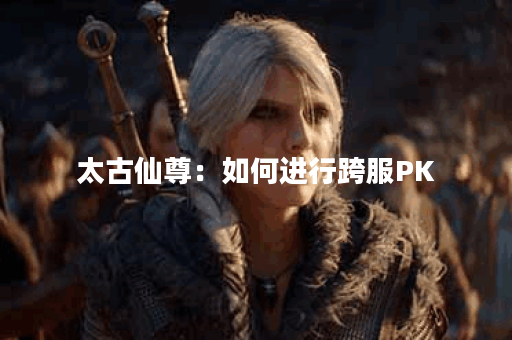 太古仙尊：如何进行跨服PK？