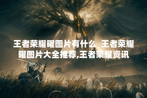 王者荣耀曜图片有什么  王者荣耀曜图片大全推荐,王者荣耀资讯