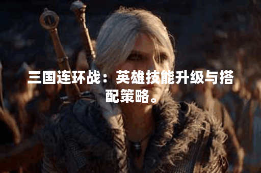 三国连环战：英雄技能升级与搭配策略。
