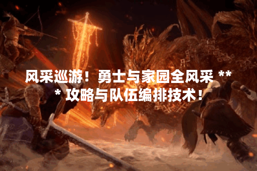 风采巡游！勇士与家园全风采 *** 攻略与队伍编排技术！