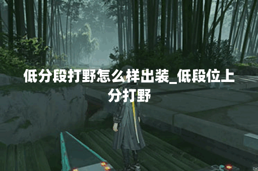 低分段打野怎么样出装_低段位上分打野