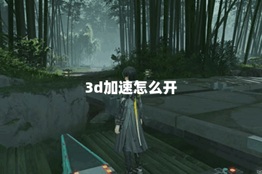 3d加速怎么开