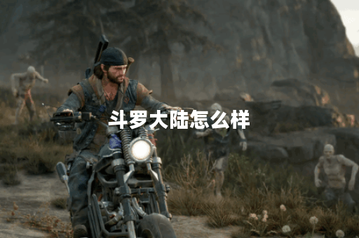 斗罗大陆怎么样