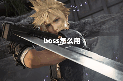 boss怎么用