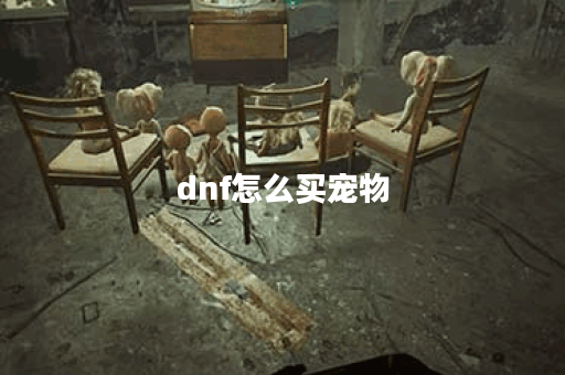 dnf怎么买宠物