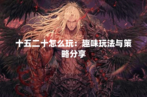 十五二十怎么玩：趣味玩法与策略分享