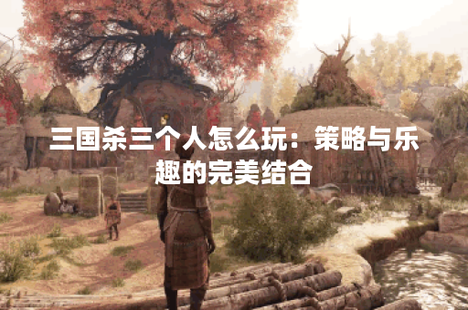三国杀三个人怎么玩：策略与乐趣的完美结合