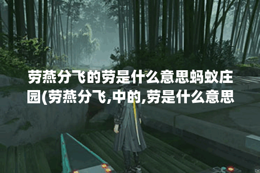 劳燕分飞的劳是什么意思蚂蚁庄园(劳燕分飞,中的,劳是什么意思)