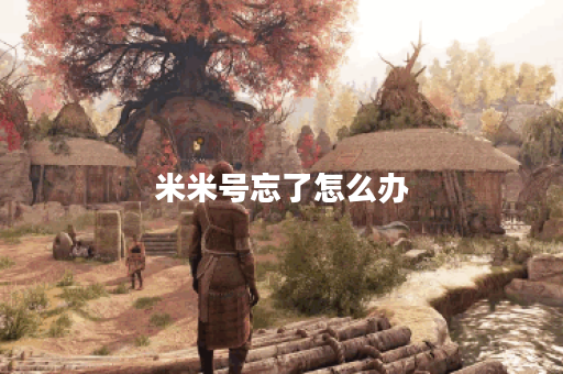 米米号忘了怎么办？教你轻松找回！