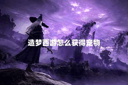 造梦西游怎么获得宠物？揭秘获取途径与技巧！