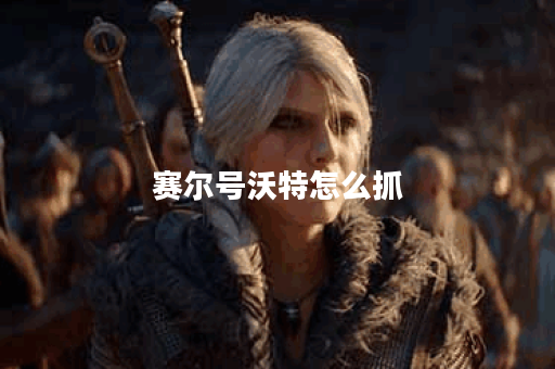 赛尔号沃特怎么抓？揭秘捕捉技巧与策略！