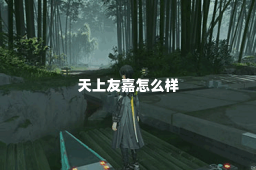 天上友嘉怎么样？探秘其独特魅力与优势