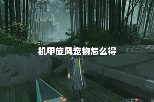 机甲旋风宠物怎么得？揭秘获取途径与技巧！