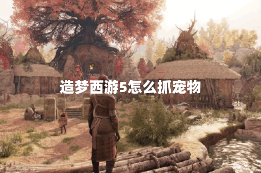 造梦西游5怎么抓宠物？全攻略与技巧分享！