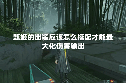 甄姬的出装应该怎么搭配才能最大化伤害输出？如何通过出装提升甄姬的伤害能力？
