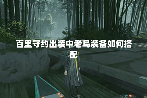 百里守约出装中老鸟装备如何搭配？老鸟装备在百里守约出装中应该怎么选择？
