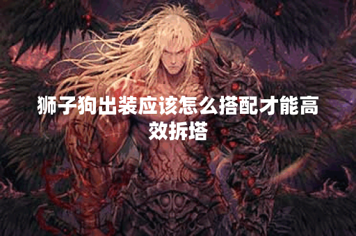 狮子狗出装应该怎么搭配才能高效拆塔？拆塔时适合使用哪些装备？
